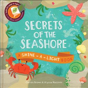 Secrets Of Seashore