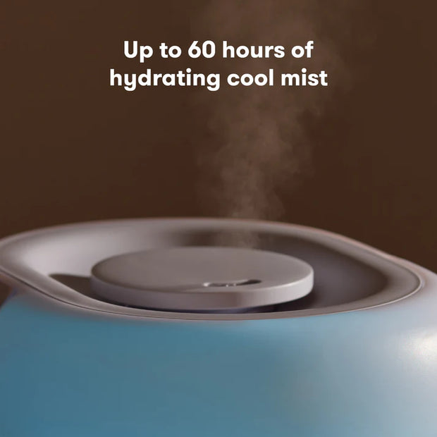 The Humidifier