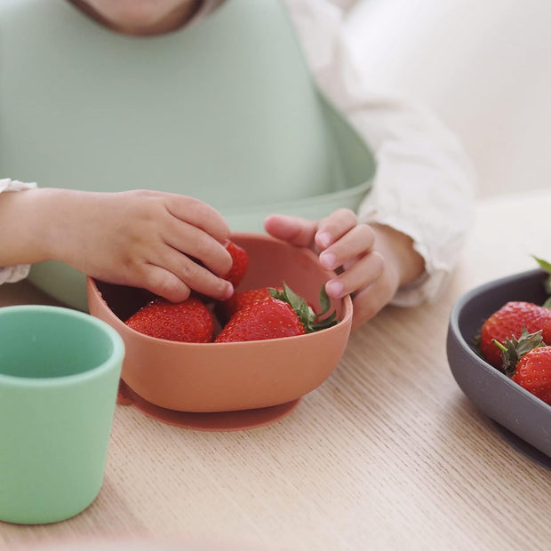 Suction Meal Set