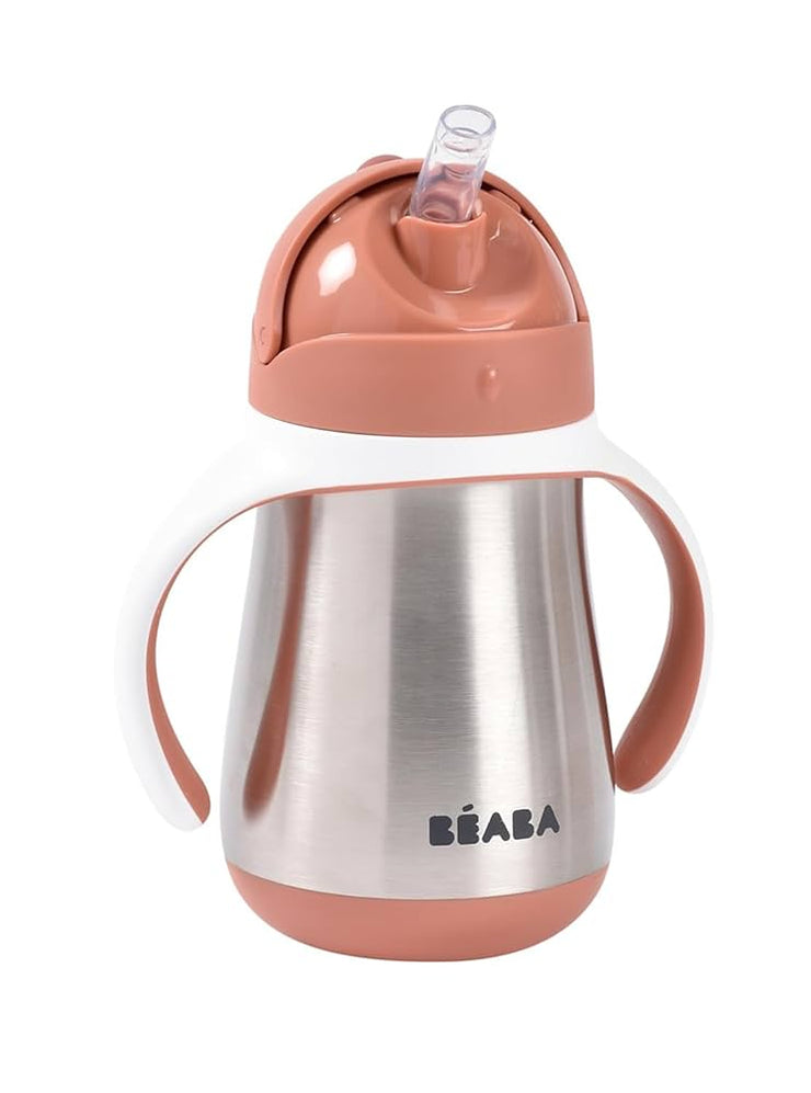 Stainless Steel Straw Sippy Cup