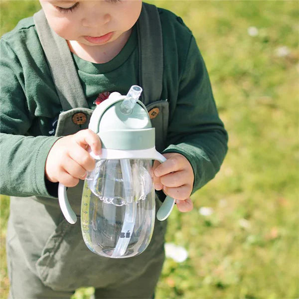 Straw Sippy Cup