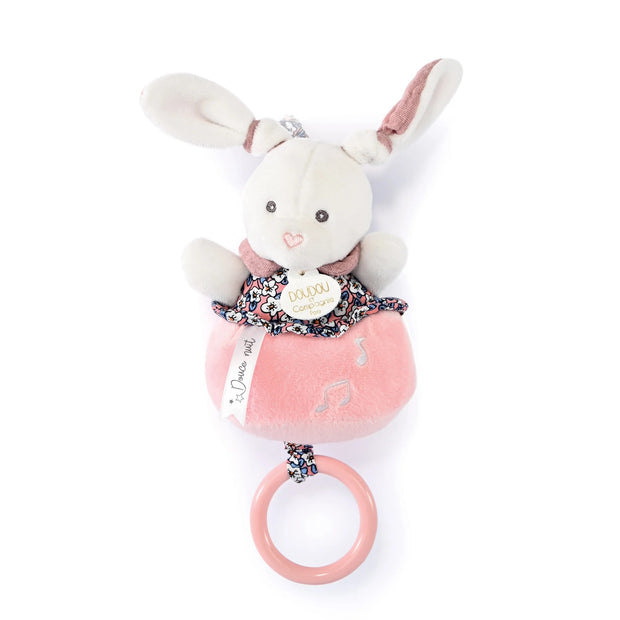 Bohaime Musical Pull Toy