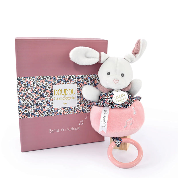 Bohaime Musical Pull Toy