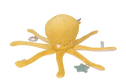 Multi-Activity Octopus