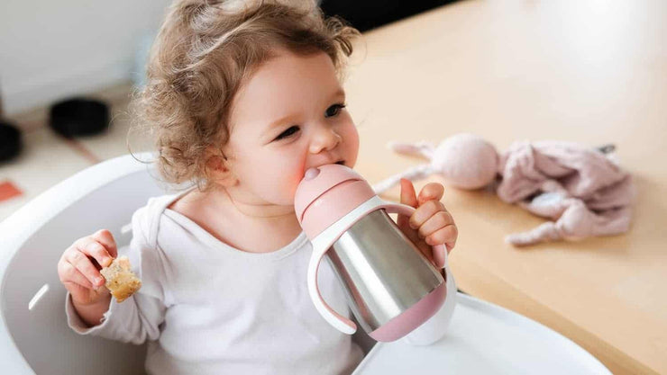 Stainless Steel Straw Sippy Cup